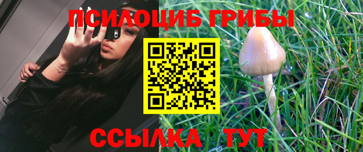Галлюциногенные грибы Psilocybe  Псилоцибиновые грибы Psilocybine cubensis  Вход с VPN  Усинск 